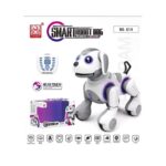 Infrared remote control intelligent robot dog-G14