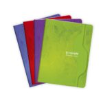 Cahier Pique 192 P A4 5*5 Pegasus