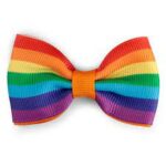 Rainbow Hair Bows