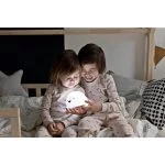 Projecteur BjÃ¶rn – Image 4