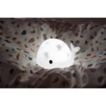 Projecteur Moby – Image 2