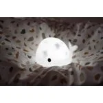 Projecteur Moby – Image 2