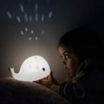 Projecteur Moby