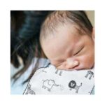 Babyjem 378-Pack de 2 Langes en Mousseline Zoo – Image 3