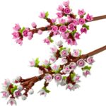 Les fleurs de cerisier 40725 – Image 3