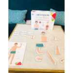 Montessori Le corps Humain – Image 2