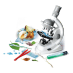 La science au Microscope – Image 2