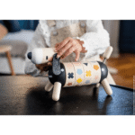 CHIEN DES FORMES ET DES COULEURS SWEET COCOON – Image 4