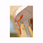 BABYJEM LONG SLEEVE HIGH CHAIR BLW BIB WITH SUCTION CUPS – Image 3