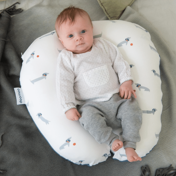 Coussin de maternité SOFTY PRINTED DOG BLUE – Image 3
