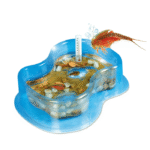 Mes premiers Triops – Image 2