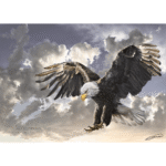 Art Puzzle- Aigle 4167 -500 PCS – Image 2