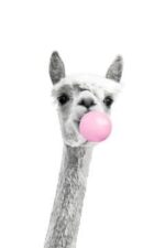 Cadre photo lama chewing-gum – Image 2
