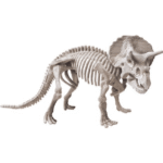 Triops et le monde des dinosaures – Image 3