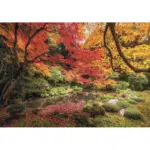 Puzzle 1500 pieces - Autumn Park – Image 2