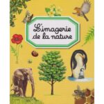 NOUVEAU LUDO (1203) – Image 2