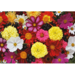 Fantastic Florals 1000-Piece Puzzle – Image 2