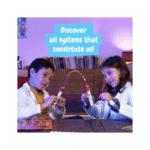 Science4you - Human Body – Image 3
