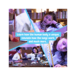 Science4you - Human Body – Image 2