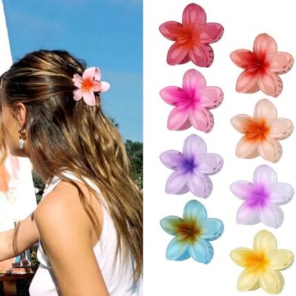 HAIR CLIP (NON TRANSPARENT)