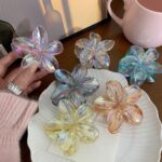 HAIR CLIP (TRANSPARENT)