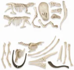 Dinosaures T-Rex et Ptéranodon Jurassic World – Image 5