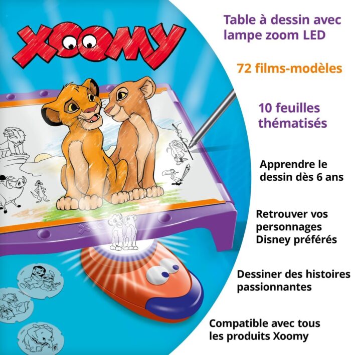 Xoomy- Disney MultiPropriétés – Image 6