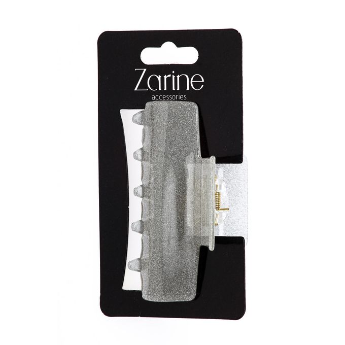 1 ZARINE-Pince à cheveaux GM Argenté – Image 1