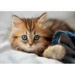 EDUCA-Puzzle 200 pieces kittens and puppies