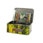 Coffret cartes Pokémon Brilliant Stars – Image 4