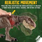 RS069D - T-Rex pulvérisateur avec secousses – Image 3