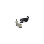 Stretchy Kitten – Image 2