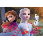 Puzzle Double Face Plus 24Pcs (50x35cm) WDP Frozen 2 – Image 2