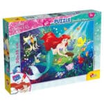 Puzzle Double Face Plus 60Pcs (50x35cm) WDP Ariel