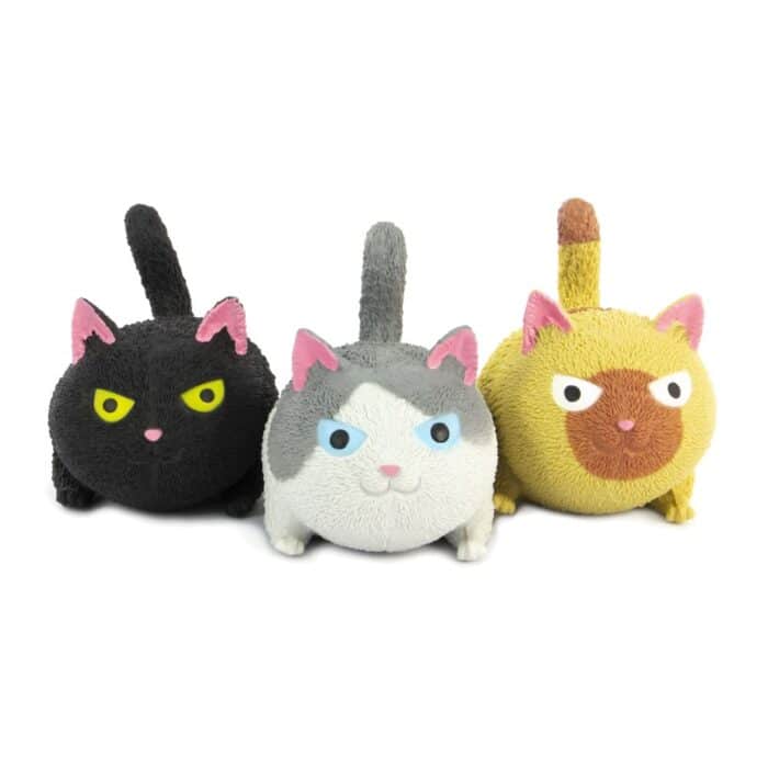 Squishy - Chat mou – Image 2